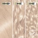 thumbnail image 5 of Tinte para el cabello Garnier Nutrisse Ultra Color PL2 Ultra Light Platinum, 5 of 9