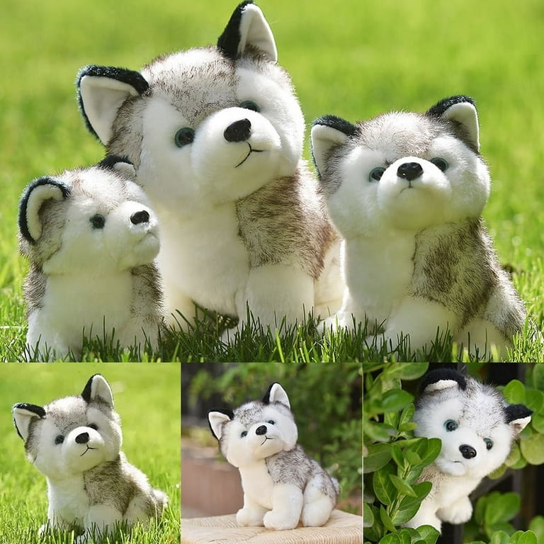  LIZEALUCKY Plush Husky Dogs Simulation Animal Dog Ornaments Toys  Soft Cuddle Adorable Gifts for Girls Boys Toddlers on Birthday Children's  Day(23cm) : Toys & Games