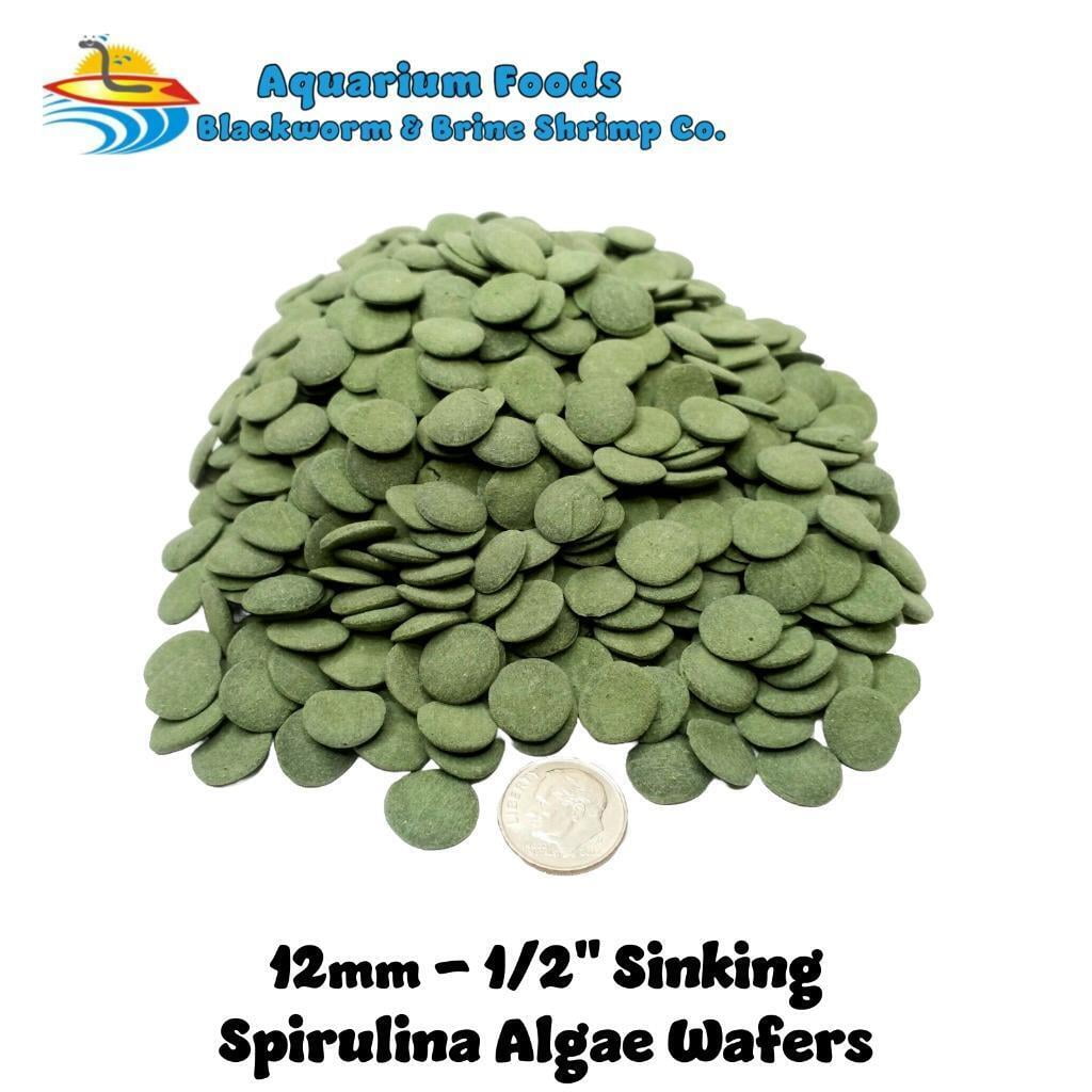 12mm - 1/2" Sinking Spirulina, Veggie and Algae Wafers for Shrimp, Snails, Crabs, Plecos, Catfish All Tropical Fish - 18.7oz Lg Round Jar