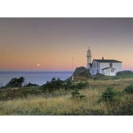 - Lobster Cove Head Newfoundland Canada PosterPrint