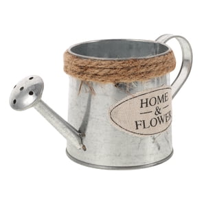 Planter en métal Pot petit bureau Planteur de fleurs Modélisation de la bouteille Planteur en forme de bouteille