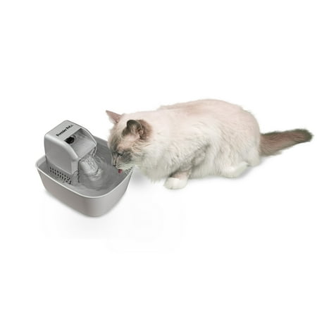 Premier Pet 50 oz. Pet Fountain – Automatic Water Fountain for Dogs and (Best Cat Water Fountain)