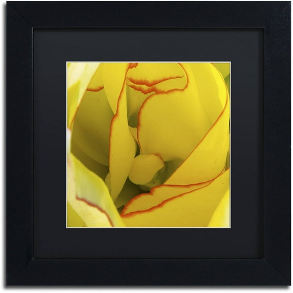 Trademark Fine Art "Inside a Beautiful Tulip" Canvas Art by Kurt Shaffer, Black Matte, Black Frame