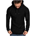 thumbnail image 1 of Sudaderas con capucha de moda para hombre, sudadera delgada con capucha de Color sólido para hombre, sudaderas con capucha de Hip Hop, ropa deportiva, chándal ShuxiuWang 8390612216220, 1 of 1
