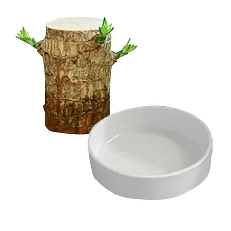 

A Decoration Made Of Brazilian Wood Handmade By Craftsmen Ensuring The Uniqueness And Value Of Each Piece. Christmas Decorations And Dated Christmas Ornament Ornament Exchange A Ornament Smart