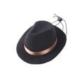 thumbnail image 1 of Funny for Puppy Kitten Party Supplies Pet Accessories Dogs Cat Caps Dog Costume Top Hat Pet Cowboy Hat Headwear BLACK, 1 of 8