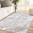 thumbnail image 1 of DEXDE 5x7 Area Rug for Living Room Bedroom, Washable Modern Abstract Non Slip Large Soft Rugs Low Pile Floor Carpet for Dining Room Bedroom Kitchen Office Nursery Playroom, Grey, 1 of 8