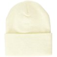thumbnail image 2 of Carhartt Knit Cuffed Beanie, 2 of 2