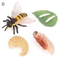 thumbnail image 2 of Flmtop 4 Pcs/5 Pcs Modèle d'Observation de la Croissance des Animaux Grenouille Tarantule Papillon Abeille, 2 of 10
