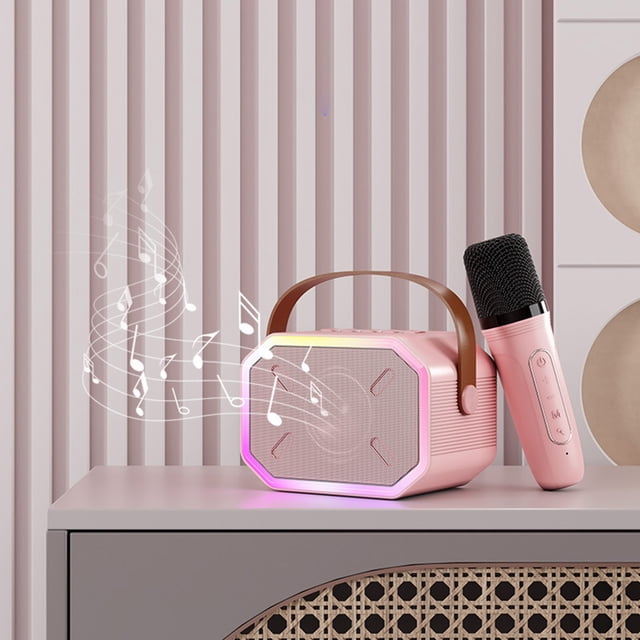 Birdeem Microphone Sans Fil pour Machine de Karaoké Audio Maison, Système Pa Rechargeable Bluetooth 5.3 Subwoofer de Scène, Haut-Parleur Microphone Portable