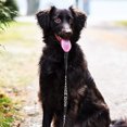 thumbnail image 1 of COMPUKAS Wear-Resistant Service Dog Leash with Wide Strap Comfortable Portable Black Pet Supply, 1 of 7