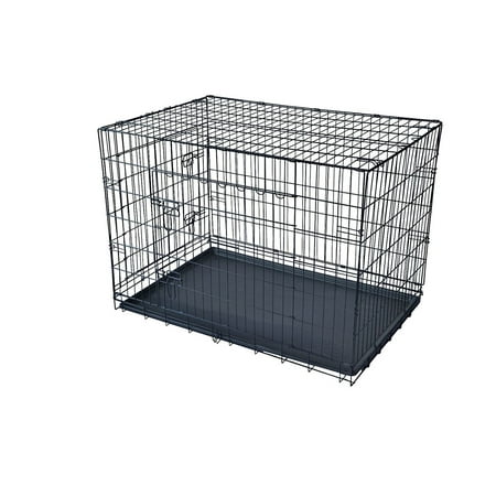 - BestPet 30