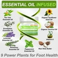 thumbnail image 4 of Dr. Entre's Foot Balm: Tea Tree Oil & Shea Butter Based - Foot Cream for Dry Feet, Cracked Heels and Odor, 4 of 7