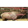 thumbnail image 4 of Elk Target - Full Size Elk Archery & Rifle Target (Life Size), 4 of 5