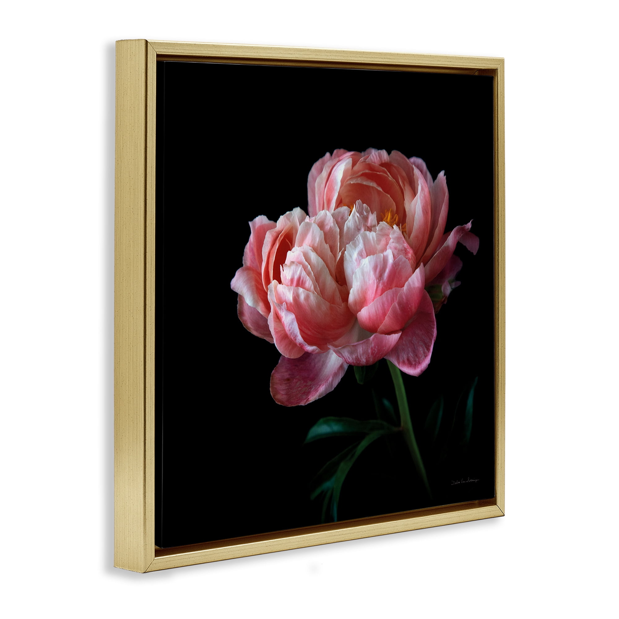 Stupell Industries Dark Rose Photography Botanical & Floral Photography Gold Floater Framed Canvas Art Print Wall Art, 25 x 25