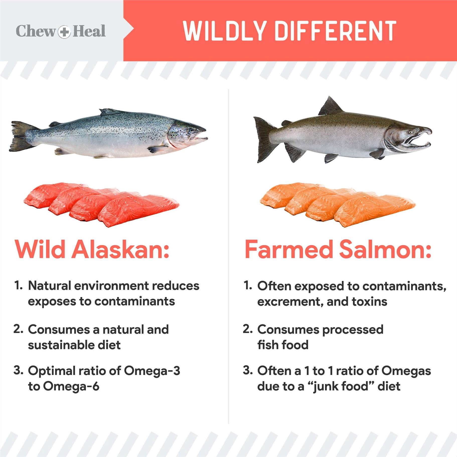 Chew + Heal Pure Wild Caught Alaskan Salmon Oil for Dogs - MSC Certified - 16 oz. Pump Cap - Omega-3 and 6, EPA, and DHA