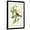 Black Frame, variant on Art.com Audubon Bird & Botanical II Art Print by John James Audubon, 12" x 18"