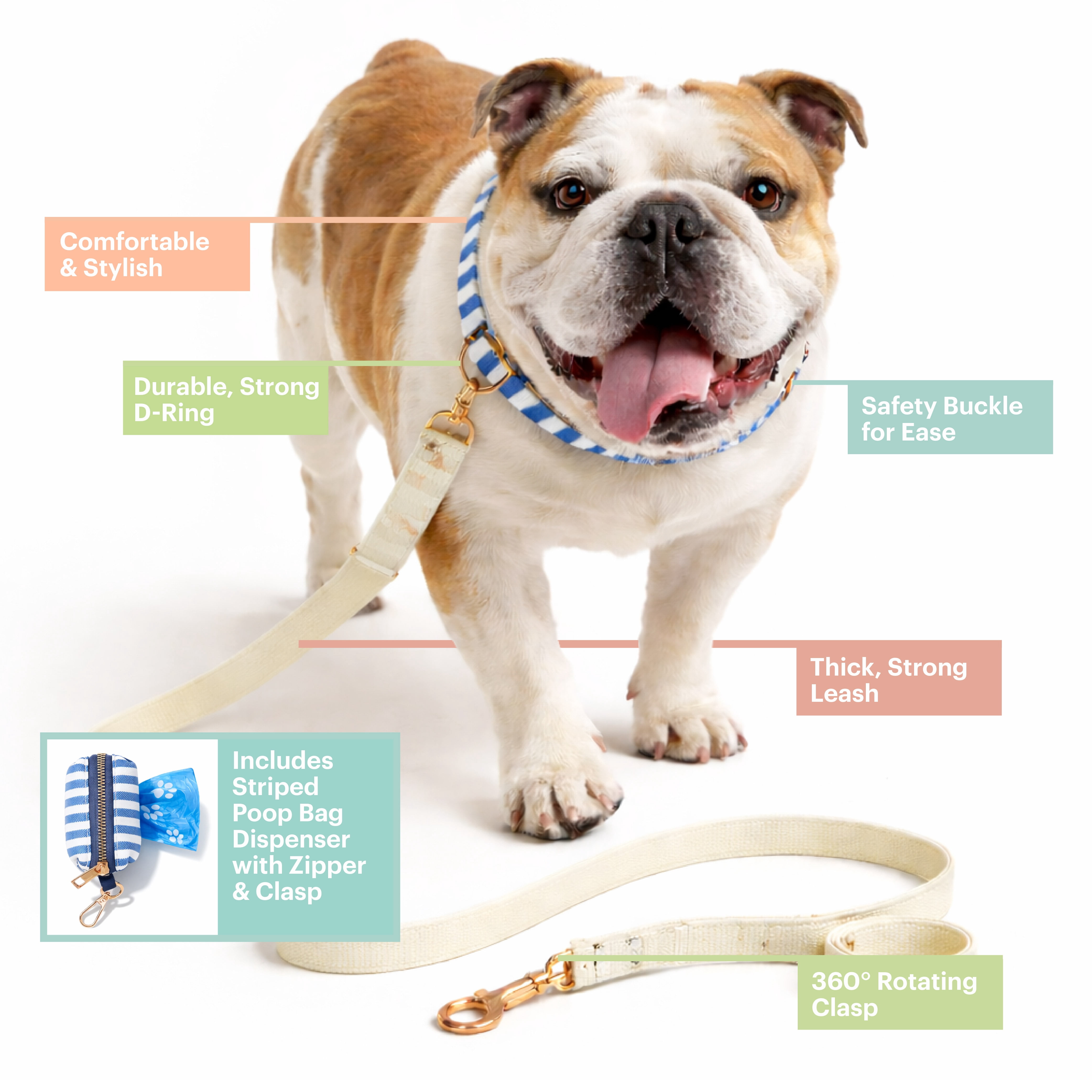 3 pc Leash Set Stripe