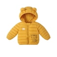 thumbnail image 2 of Esaierr Boys Girls Winter Coats down Outerwear for Kids Toddler 9M-5Y Cute Warm Cotton Coats down Baby Lightweight Winter down Jacket with Hoodie, 2 of 6