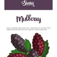 thumbnail image 5 of Mulberry Tealight Candles Bulk Pack - 24 Dark Red Premium Scented Tea Lights - Shortie's Candle Company, 5 of 5