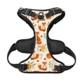 thumbnail image 5 of Picia Flower Fox No-Pull Dog Harness Reflective Front Clip Vest with Handle,Step-in Air Dog Harness,Adjustable 2 Metal Rings 4 Buckles,Easy to Put on & Take Off Large, 5 of 9