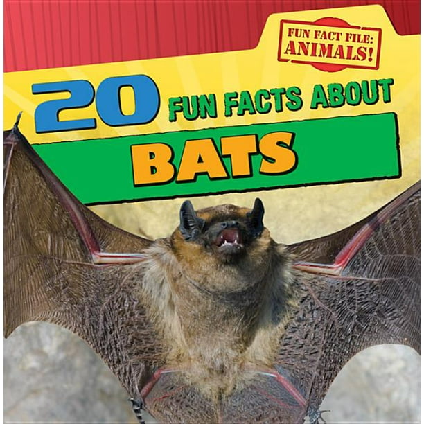Fun Fact File Paperback 20 Fun Facts About Bats Paperback 