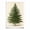 Unframed, variant on X-mas Tree Poster Canvas Prints Wall Art Decor Christmas Pine Tree Retro Posters for Home Room Bathroom Wall Decoration - 8x12 inches Unframed