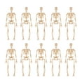 thumbnail image 2 of XDDST Halloween Yard Decorations 10PCS Halloween Mini Skeleton Figurines 6 Inch Small Skeletons for Crafts Posable Party Decor Miniature Skeletons Skeletons Halloween, 2 of 8