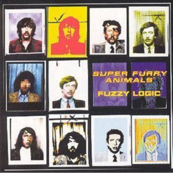 Fuzzy Logic (CD)