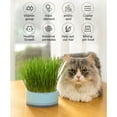 thumbnail image 4 of Hydroponic Cats Grass Planter, at Grass Planter(No Seeds Included), Cat Grass Kit for Indoor Cats, Wheat Grass Growing Cup with Removable Tray, Easy to Grow Cat Grasses Growing, 4 of 6