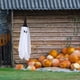 thumbnail image 5 of Decoraciones colgantes de Halloween Accesorios colgantes de Halloween Barra colgante de Halloween 33cmx134cm, 5 of 9