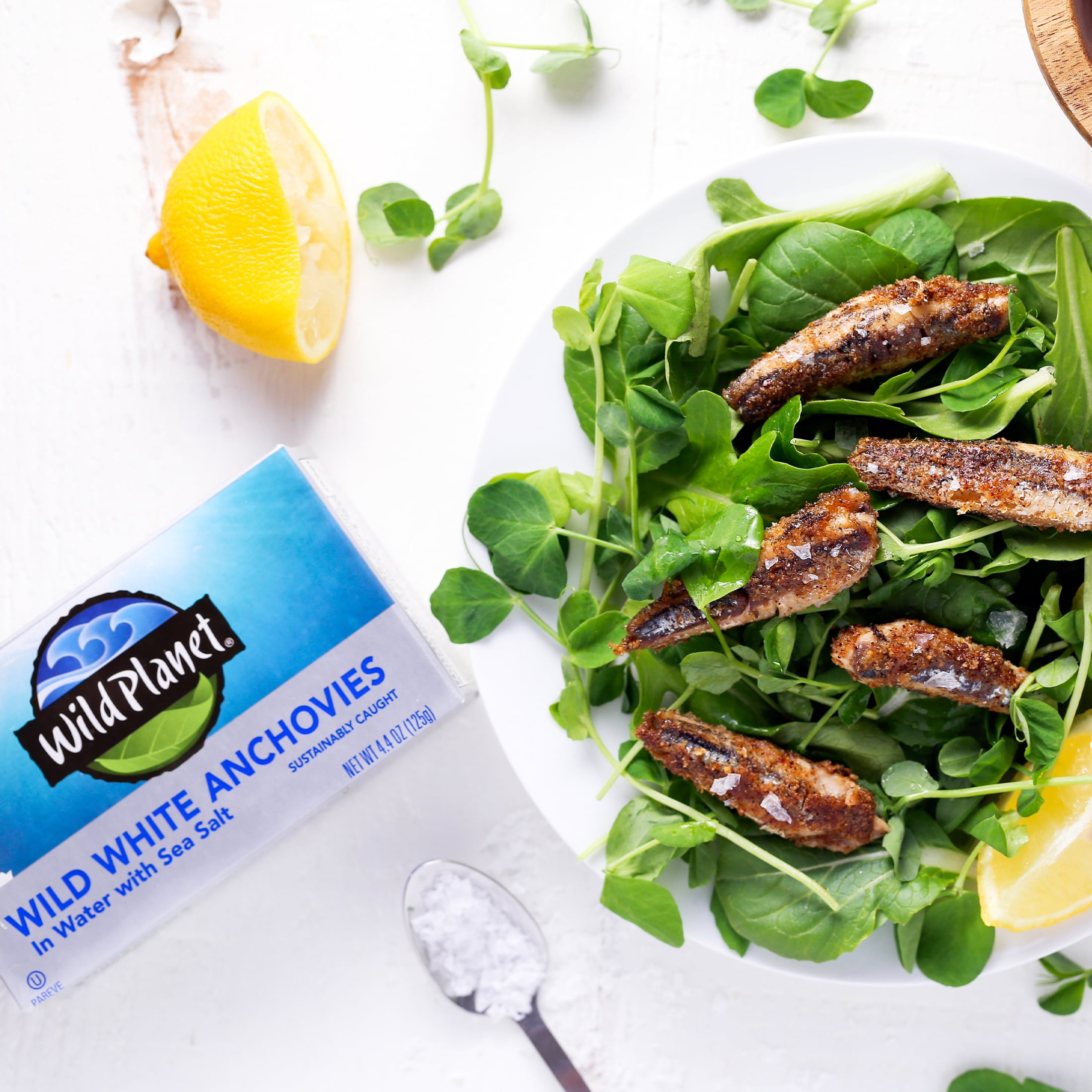 (6 pack) Wild Planet Wild Caught White Anchovies in Water with Sea Salt, 4.4 oz Can