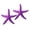 Purple, variant on KGJQ 2 Pcs Mini Resin Starfish Ocean Decor Tiny Summer Starfish Figurine for Miniature DIY Crafts Fairy Garden Ornament Beach Party Home Decoration