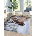 thumbnail image 3 of Saloon Rug, Nature Wild Rug, Corridor Rugs, Loft Home Decor Rug, Stair Rug, Salon Rug, Deer Rug, Animal Rug, Door Mat Rug, Salon Decor Rug, 3.3'x5' - 100x150 cm, 3 of 8
