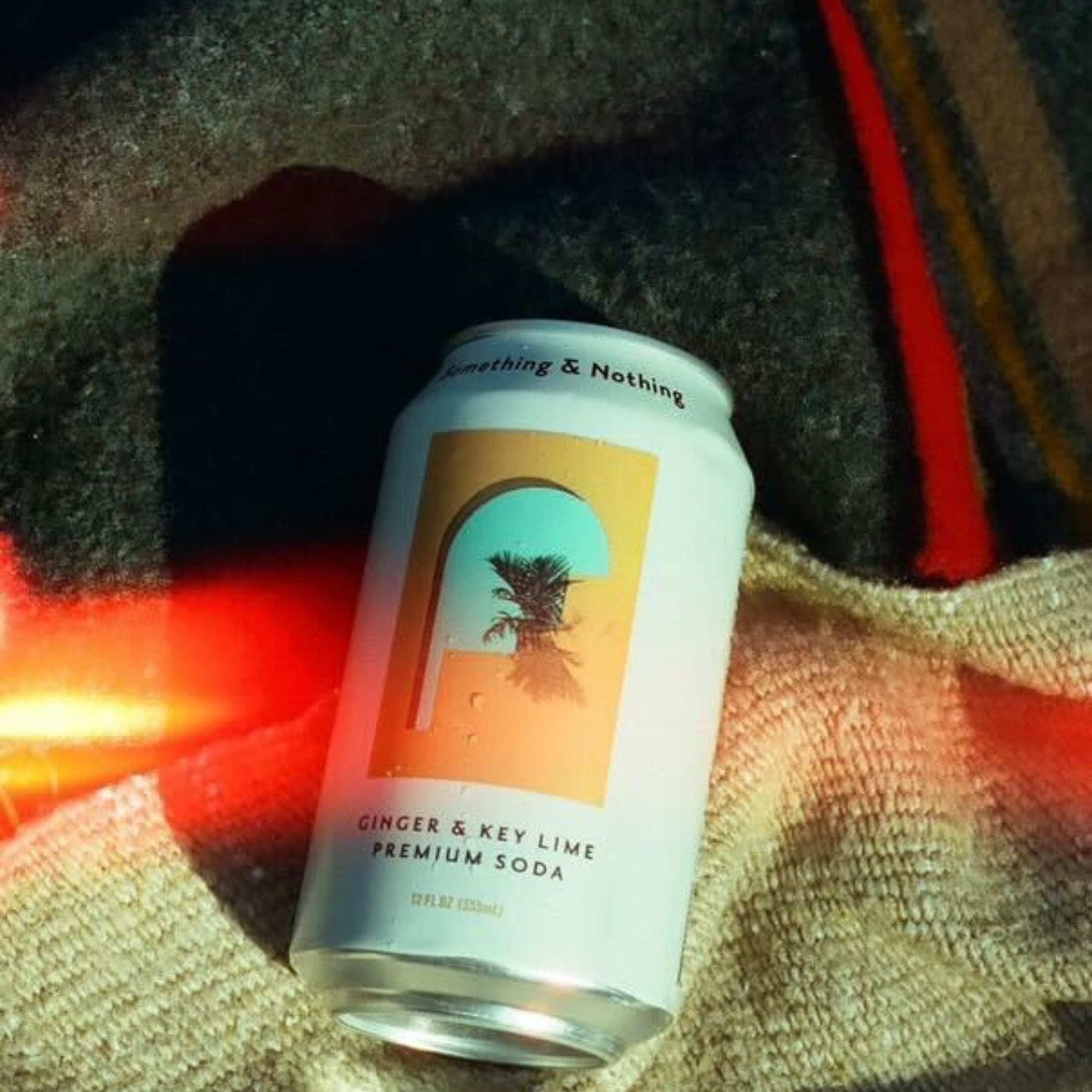 Something & Nothing Lightly Carbonated Ginger & Key Lime Premium Soda Case of 12 x 12 Fl Oz