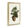 thumbnail image 3 of Stupell Industries Shabby Chic Cedar Tree Pinecones Gold Floating Frame Canvas Art, 17 x 25, by Tina Higgins Designs Inc., 3 of 8