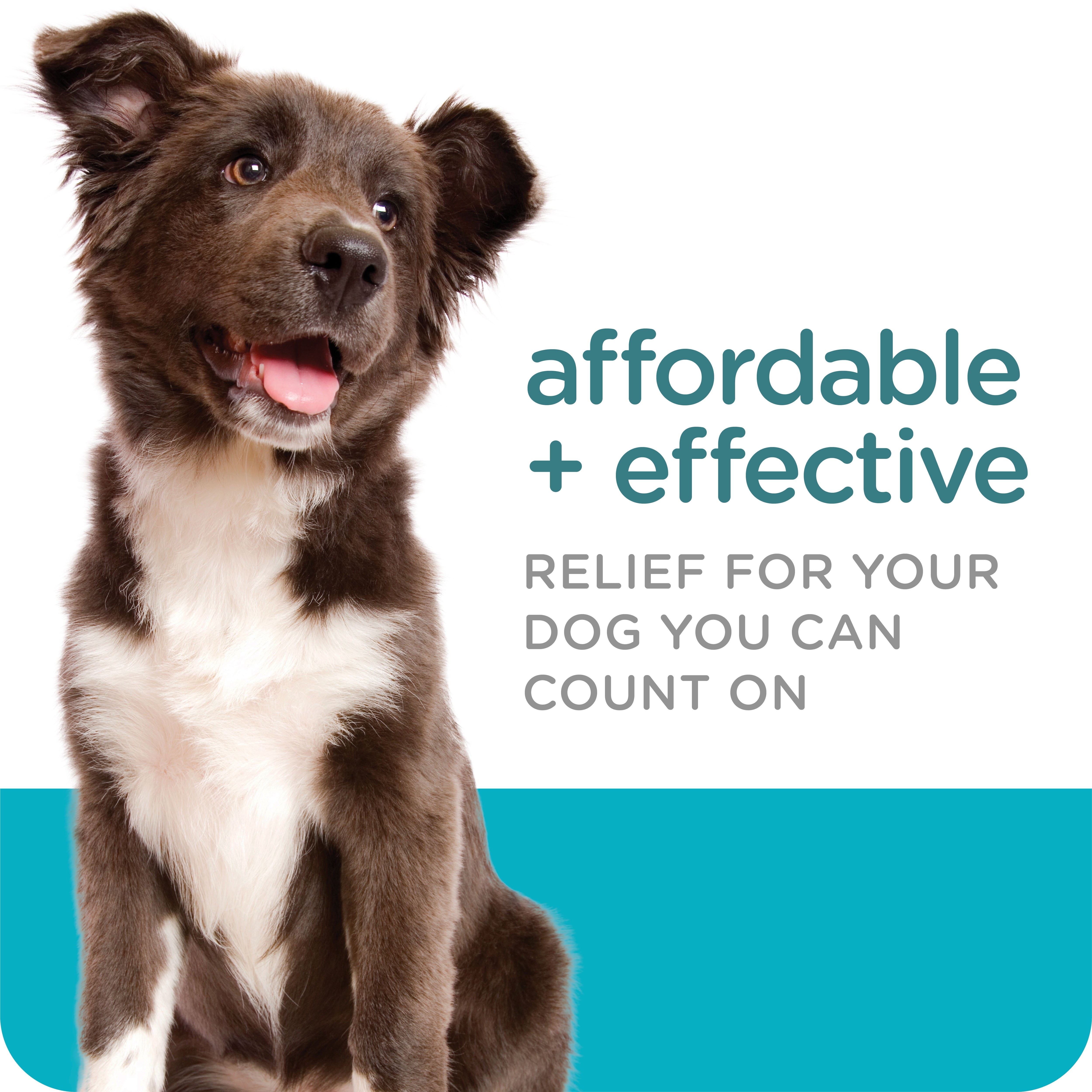 SERGEANT'S GUARDIAN Flea & Tick Topical Treatment for Dogs, 7-33 lbs, 3 Count