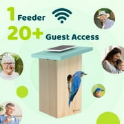 Birdfy Smart Bird Houses With 1080P HD Bird Feeder Camera, Perfect Viewing Bird Nesting and Hatching, Solar Powered, Cyan