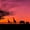 Panoramic Sunset Safari, variant on Elephant Stock Sunset And Water Wall Art - Panoramic Canvas Wall Art - Living Room Wall Decor - Nature Canvas - Brown And Orange Decor - 24" x 8"