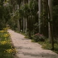 thumbnail image 2 of Fuchsun 3PK Brown Lighted Twig Branches Pathway Light 60 LED Warm White Bulbs for Outdoor and Indoor, 2 of 8