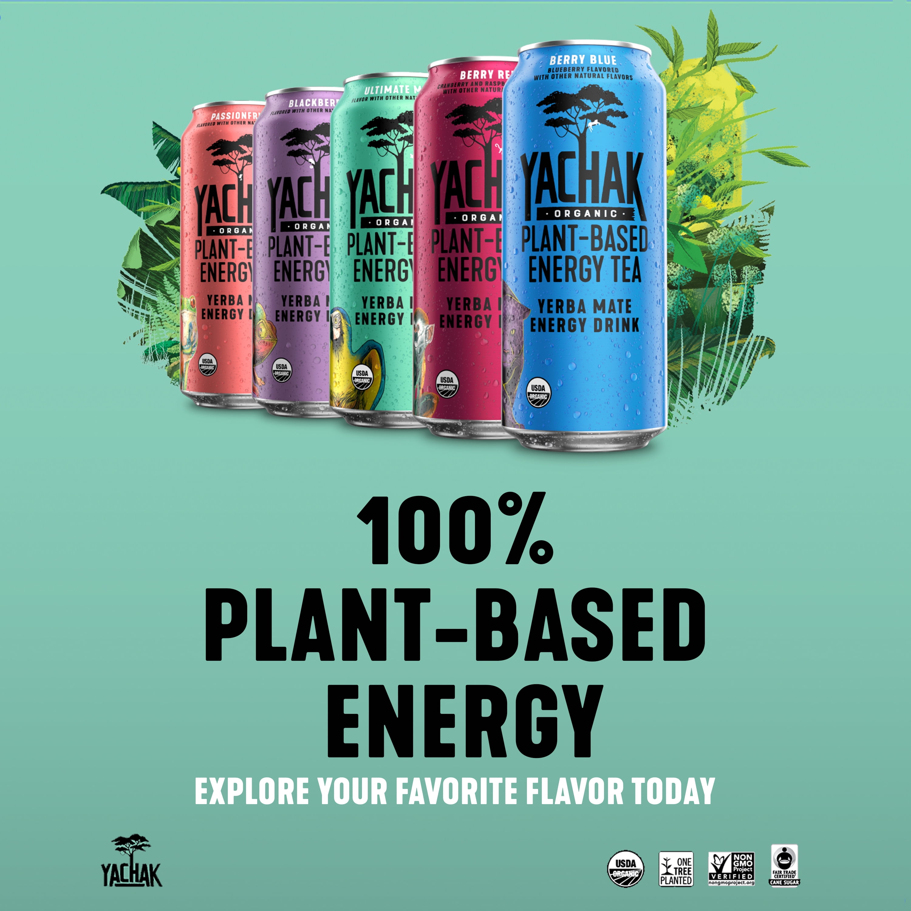 Yachak Yerba Mate Drink, Passionfruit, 16 fl oz, 12 Pack Cans