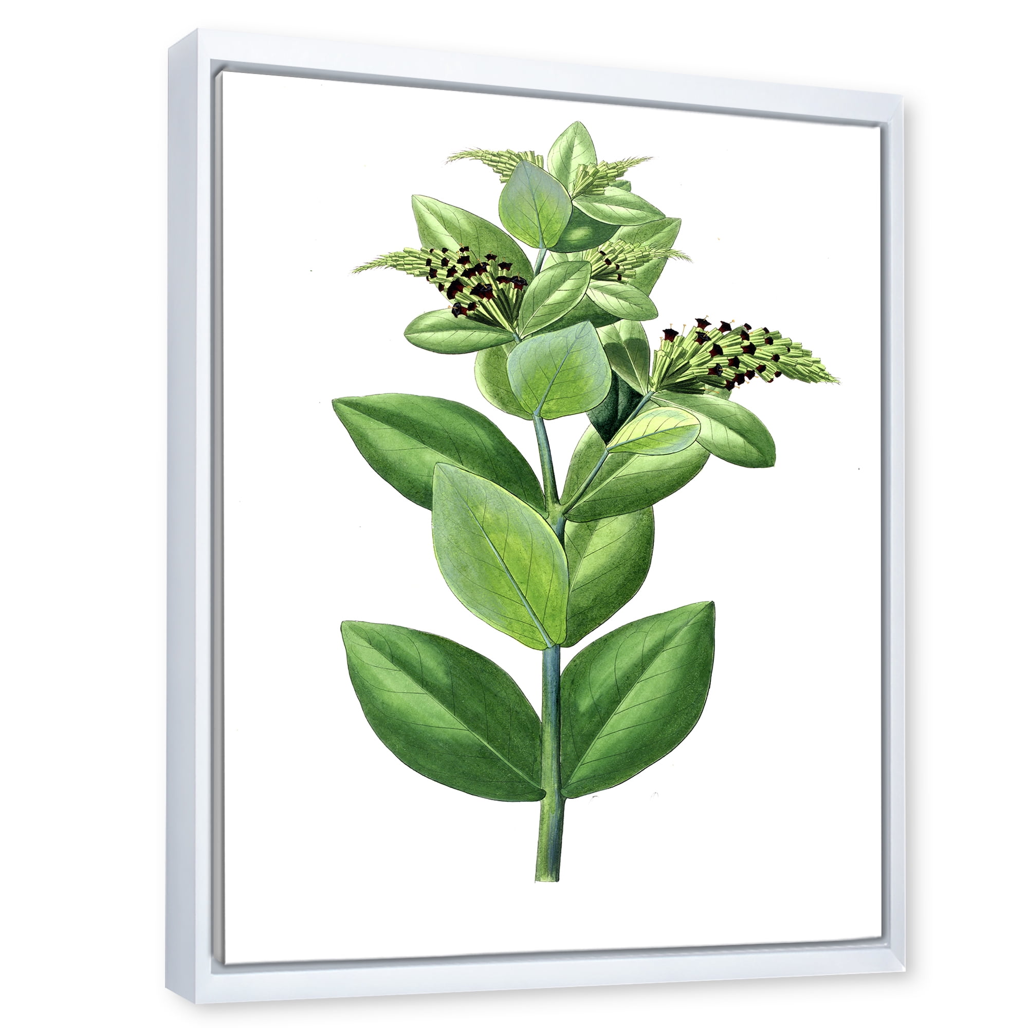 Designart 'Ancient Green Leaves Plants VI' Traditional Framed Canvas Wall Art Print