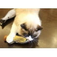 thumbnail image 4 of Nouveaux Jouets en Peluche en Forme de Poisson Menthe pour Chien Chaton avec Herbe à Chat, 4 of 5