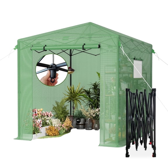6 ft. W x 8 ft. D Pop Up Green House for Outdoors, Portable Greenhouses, Walk-in Greenhouses, Popup Greenhouse Kit, Easy Set Up