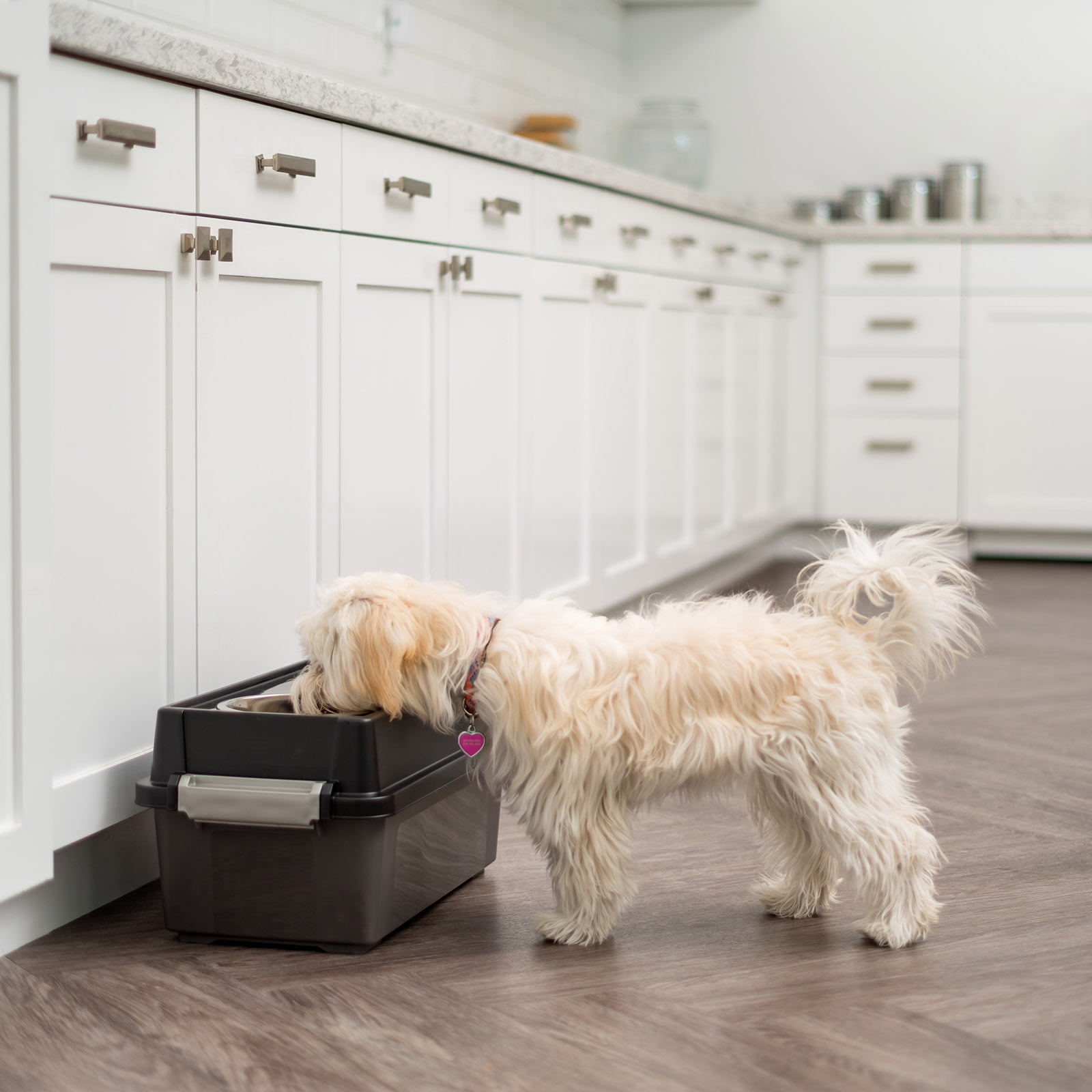 IRIS 13 Lbs/12 Qt Medium Elevated Dog Food Bowl with Airtight Pet Food Storage Container, Black
