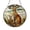 Acrylic 3.5 Inch, variant on Joey and Kangaroo Suncatcher, Wildlife-Inspired Home Decoration
