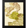 thumbnail image 2 of Wang, Melissa 12x14 Black Modern Framed Museum Art Print Titled - Vintage Seaweed Collection II, 2 of 5