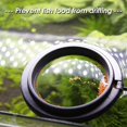 thumbnail image 4 of ShenMo 2 Piece Fish Feeding Ring, Aquarium Fish Feeding Ring, Fish Feed Safety Feeder with Suction Cups (Square Round), 4 of 5