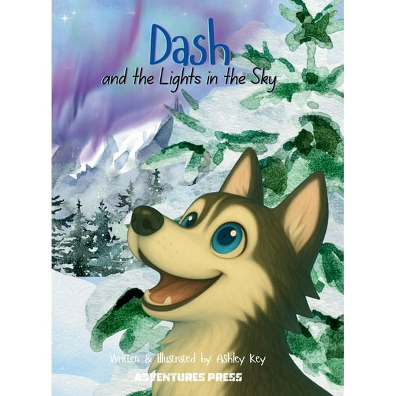 Dash and the Lights in the Sky, (Hardcover)
