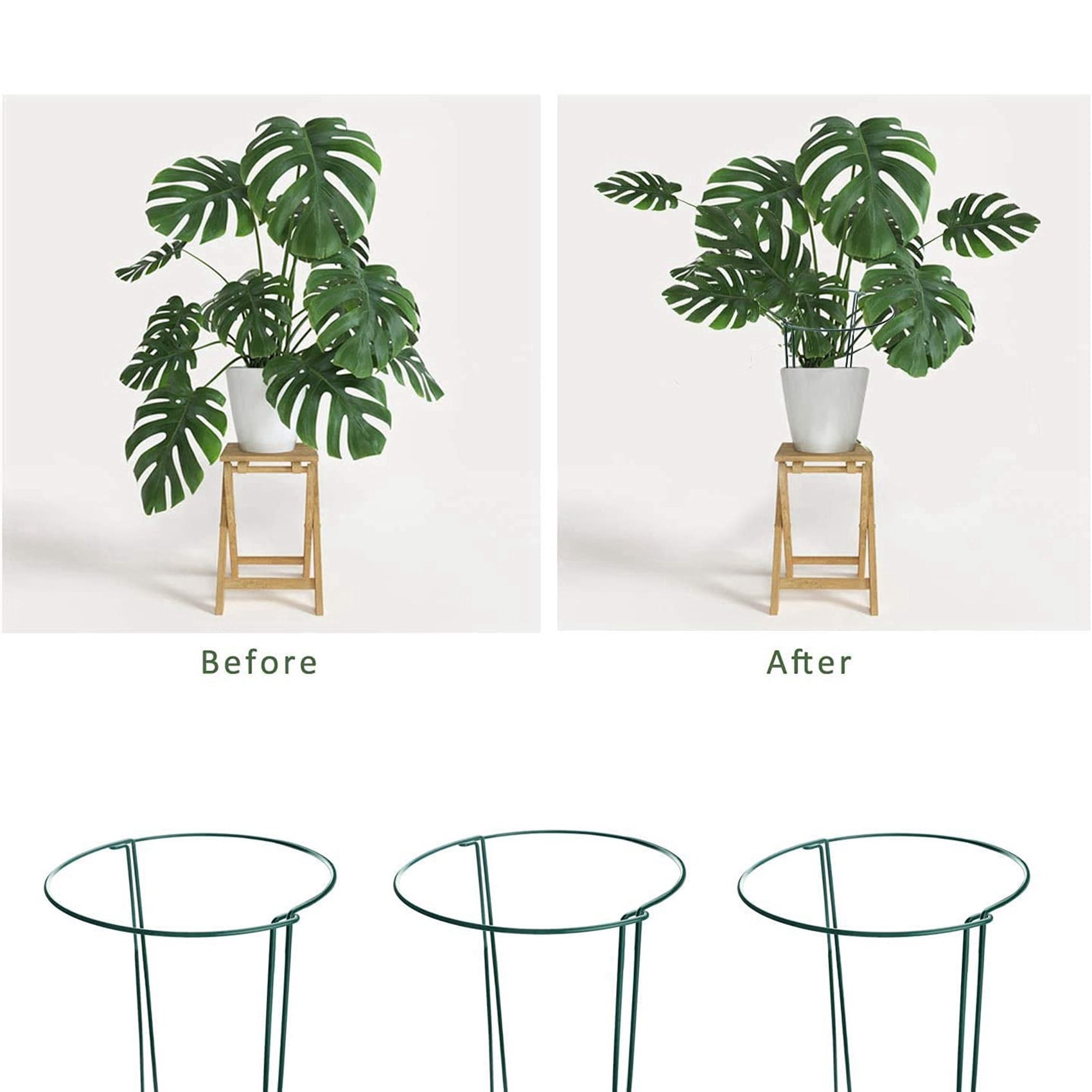 12 Pcs Plant Support Stakes Ring Cage Metal Garden Plant Stake Green Half Round Plant Support Ring Plant Supports